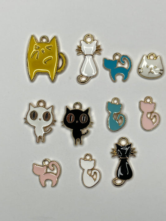 Mystery charms (cat)